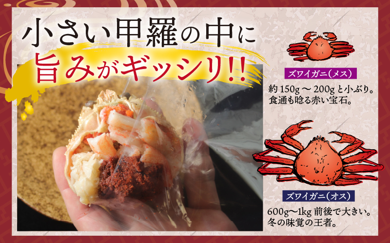 越前がに（メス）「せいこがに」身出し甲羅盛り 70g × 2杯