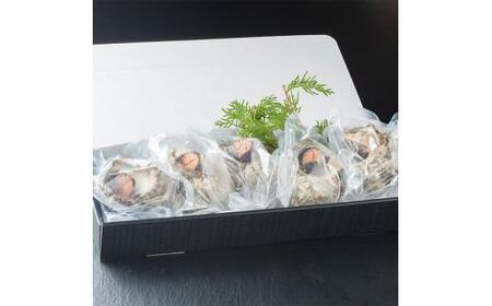 【訳あり】 さざえの舞鶴焼き 100～150gサイズ×5個 サザエ 訳ありサザエ こだわりだしのサザエ 採れたての味が楽しめるこだわりのサザエ 大きさ不揃いサザエ プロトン冷凍 冷凍 魚介 海鮮 つぼ