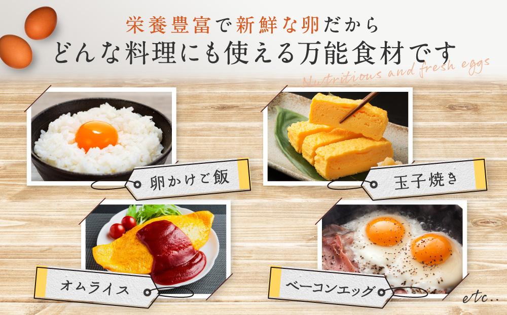 おいし高原 庭さき卵 Lサイズ 20個入り たまご 卵 玉子 ED002_イメージ3