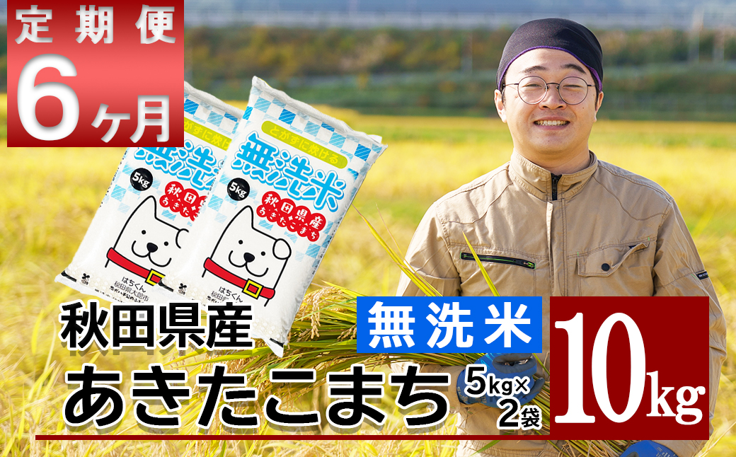 【定期便6ヶ月】秋田県産米「あきたこまち（無洗米）」 10kg（5kg×2袋）　840P9203