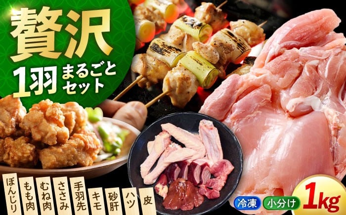 
            【冷凍】鶏肉 広島県産 一黒シャモ 1羽まるごとセット（約1kg）江田島市／ポークアンドチキン江田島 [XAH004]｜鶏肉 精肉 とり肉 国産 地鶏 高級地鶏 一黒シャモ チキン 丸鶏 一羽分 冷凍 ストック 長期保存 小分け もも むね モモ ムネ もも肉 むね肉 手羽 手羽元 手羽先 ささみ 砂肝 ハツ 皮 ぼんじり 希少部位 焼き鳥 唐揚げ チキンステーキ 鍋 BBQ お取り寄せ グルメ
          