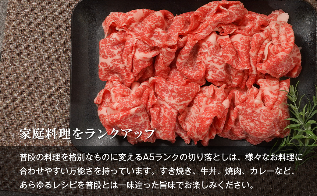 【A5ランク限定】淡路島産黒毛和牛 切り落とし 1kg（500g×2PC）【神戸牛】 切り落とし 牛肉  高級 神戸牛