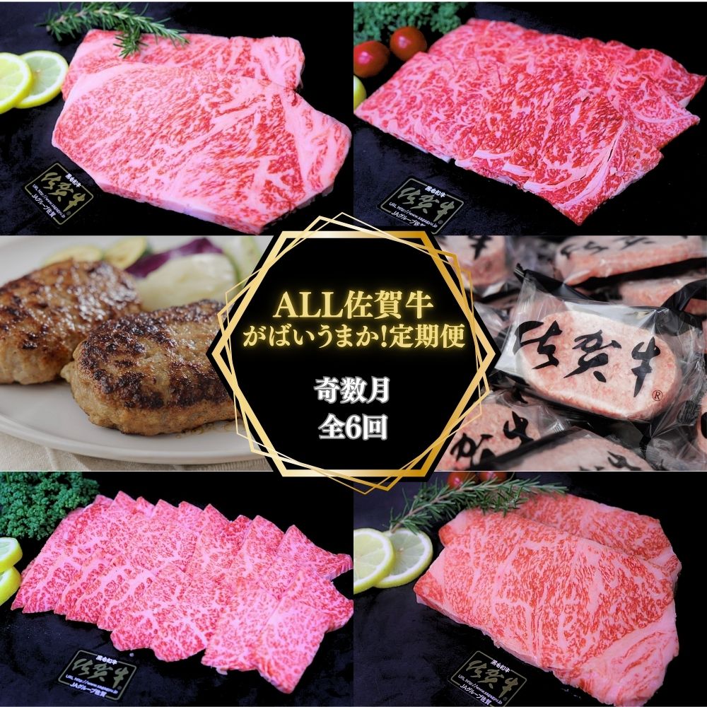 【ふるさと納税】【奇数月に計6回】ALL 佐賀牛 がばいうまか 定期便 191-J1388