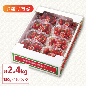 ミニ トマト プチルージュ 150g × 16パック | トマトトマトトマトトマトトマトトマト