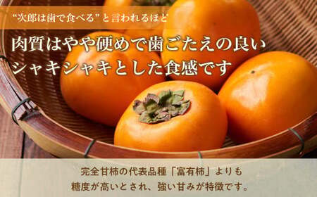 【令和8年産柿/先行予約】訳あり 5kg 多気町発祥 前川次郎 柿