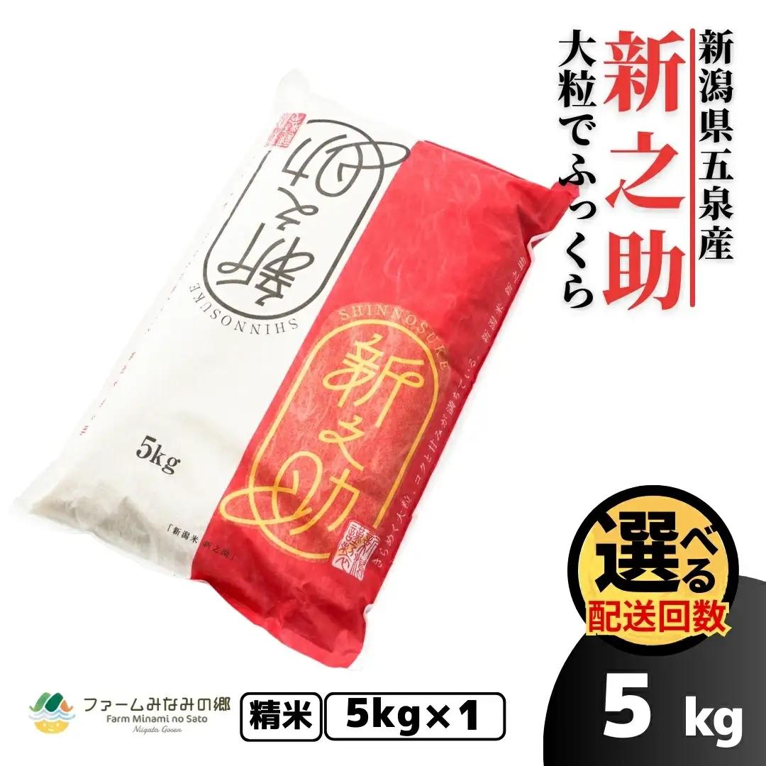 【先行予約】令和8年産 新米 新之助 精米 5kg【10月上旬発送開始】 | 新潟県産 白米 米 五泉市 新潟産