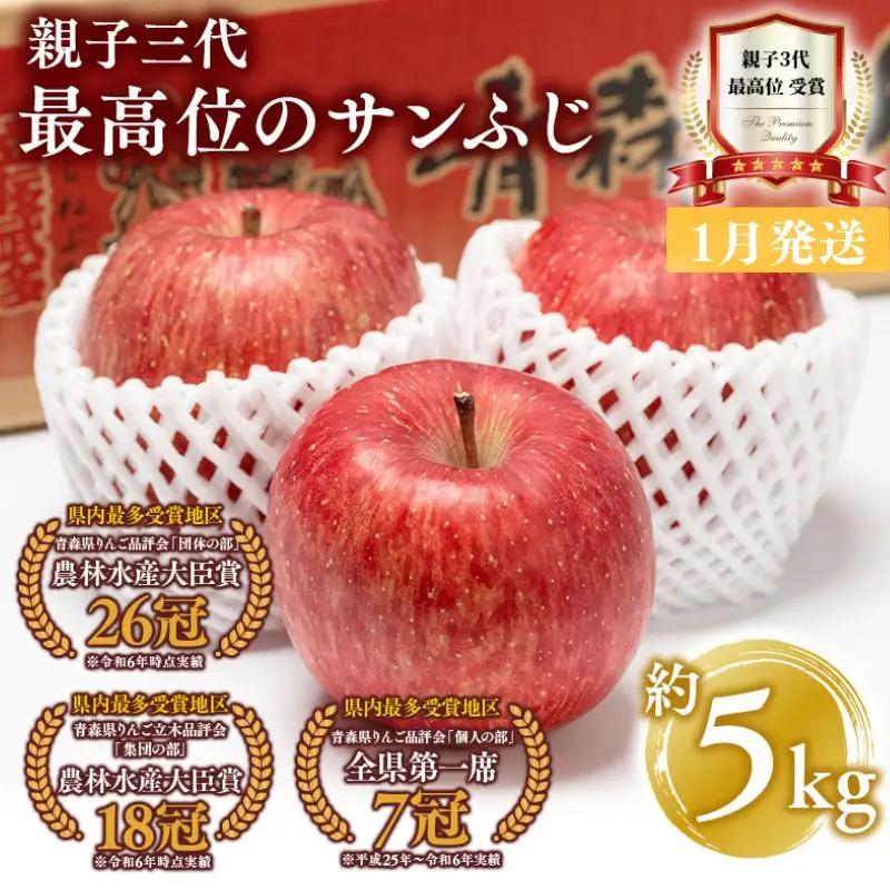  りんご サンふじ 約5kg 青森県平川市産 りんご