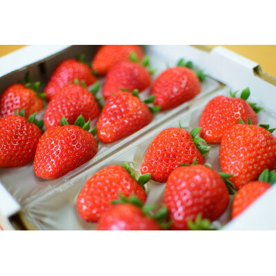 【ふるさと納税】〈農家直送〉奈良県産ブランドいちご【古都華(ことか)】2パック【配送不可地域：離島・北海道・沖縄県】【1565951】