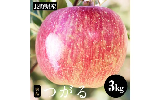 長野県産 早生 りんご サンつがる 約3kg 秀品 〈2026年9月上旬～9月中旬発送〉| 果物 くだもの フルーツ りんご リンゴ 林檎 つがる 長野県 信州 南信州 飯田市