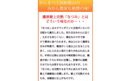 初夏のみかん　なつみ3kg　※2024年4月中旬頃～4月下旬頃順次発送（お届け日指定不可）【uot753】