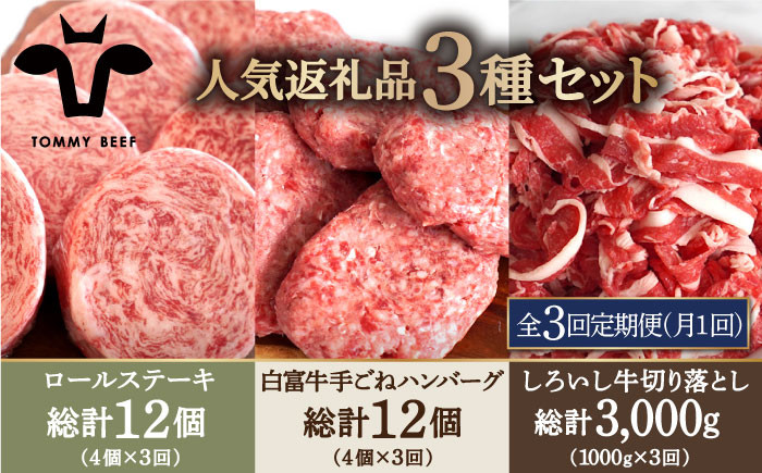 
            【牧場直送】【3回定期便】人気返礼品詰め合わせ！牛肉100%ふんわりロールステーキ 4個＆白富牛 手ごねハンバーグ 4個＆しろいし牛 切り落とし 1000g【佐賀セントラル牧場】佐賀県産 牛肉 お肉 肉 ステーキ ハンバーグ 切り落とし 九州 佐賀県 白石町 [IAH185]
          