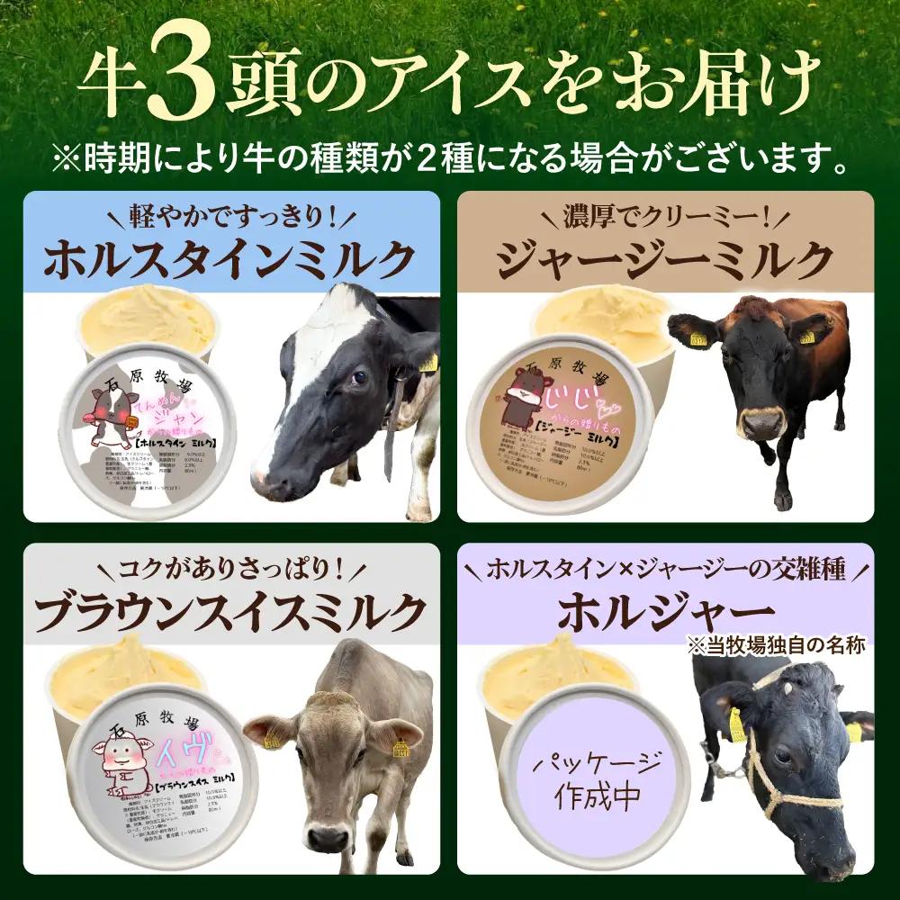 牛で選べるアイスクリーム80ml×12個《牛3頭セット、品種2～3種》