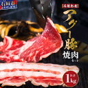 【ふるさと納税】石垣島産 やえやまファームのアグー豚 焼肉セット 計1kg（ロース500g＋バラ500g） 冷凍 国産豚 豚肉 沖縄県石垣市 南ぬ豚(パイヌブタ) 肉 家庭用 BBQ 送料無料 E-24