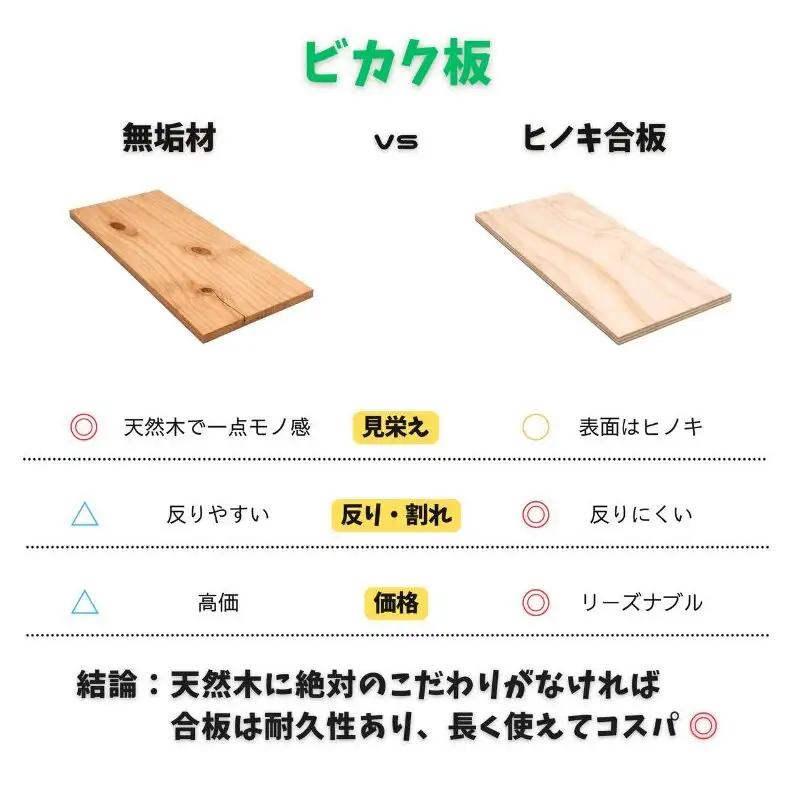 ビカクシダ板 SeamBoard C型 Mサイズ ビカクシダ コウモリラン 板付け 壁掛け 観葉植物 植物 おしゃれ インテリア 室内 無塗装 ギフト プレゼント 育てやすい 株式会社アサヒ 送料無料