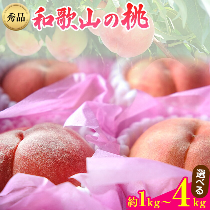 【ふるさと納税】【先行予約】和歌山県紀の川市産桃（もも）選べる 約1kg〜4kg 秀品 前商店《2026年6月中旬-7月中旬頃出荷》産地直送 もも モモ 果物 フルーツ