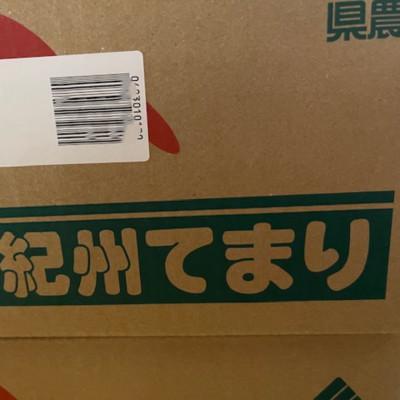 ふるさと納税 印南町 富有柿の新品種「紀州てまり」約7.5kg(22玉〜32玉おまかせ)【印南町】 |  | 01