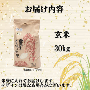 【 令和7年産 新米 30kg 】 きぬひかり 玄米