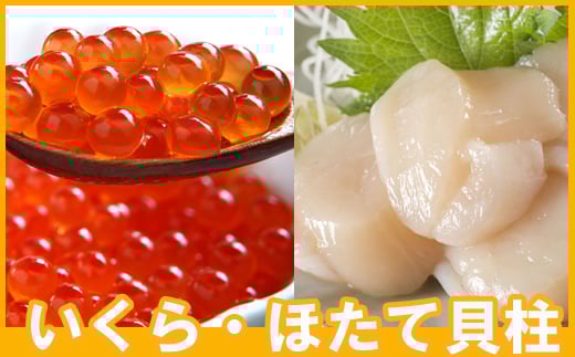 B-70019 いくら醤油漬け100g×1P、ほたて貝柱500g×1P