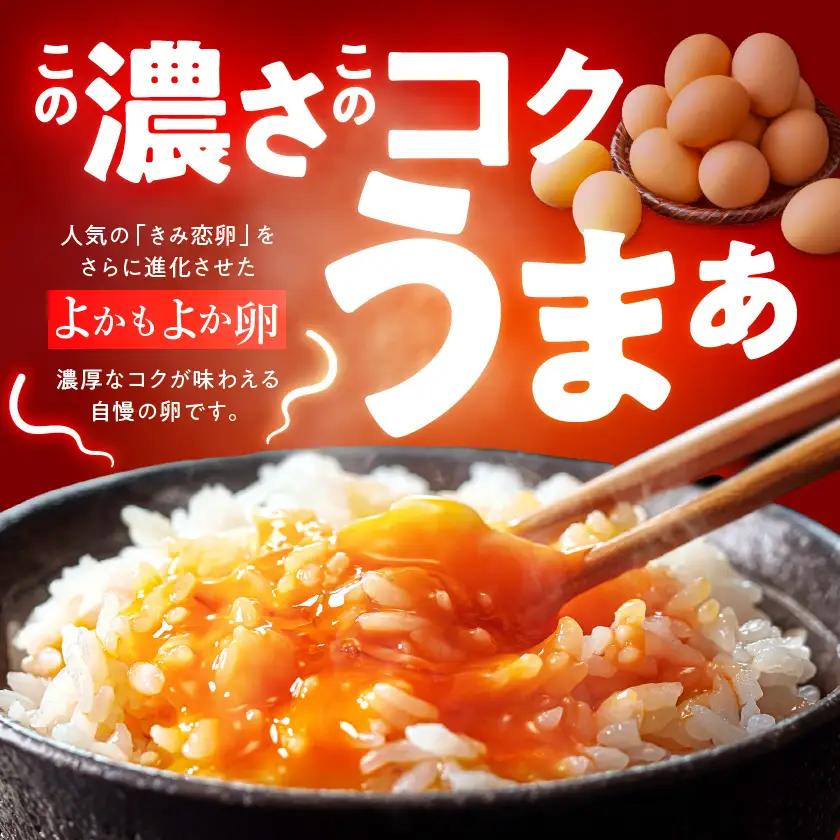 よかもよか卵40個〔11-29-010-40〕_(都城市) 赤卵Mサイズ 破損補償(5個追加) 生卵 鶏卵 玉子 タマゴ たまご 新鮮 濃厚 宮崎県産 家庭用 卵かけご飯 シフォンケーキ たまご焼き 