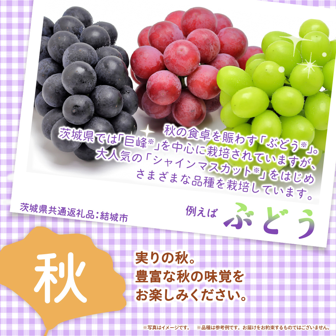 【定期便】フルーツセット（6回定期）（茨城県共通返礼品） 茨城県 県産 つくばみらい市 人気 厳選 果物 くだもの 旬 旬の果物 旬のフルーツ 上級品 極上 贅沢 極み フルーツ フルーツセット ギフ