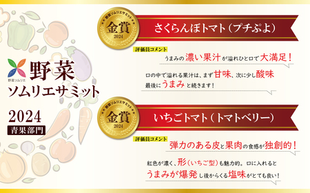 【先行受付】2027年1月～6月毎月発送 新食感!!奇跡のさくらんぼミニトマトの定期便 約500g×6回コース 野菜ソムリエサミット 金賞 受賞 長田農園 産地直送 トマト とまと 野菜 やさい フル