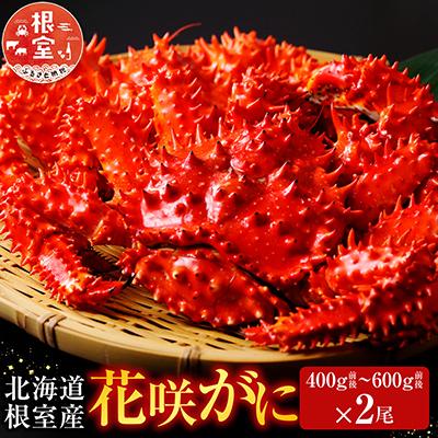 ふるさと納税 根室市 【北海道根室産】花咲かに400g前後〜600g前後×2尾 A-70030