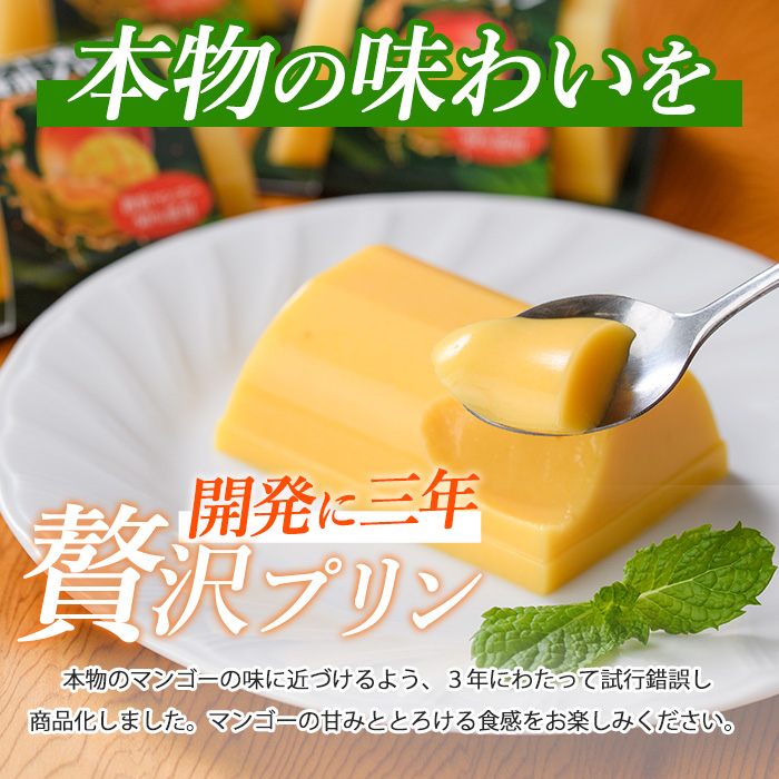 マンゴー農家の贅沢プリン(6個)とプレミアムゼリー(3個)セット(マンゴーの森/IB040-006)