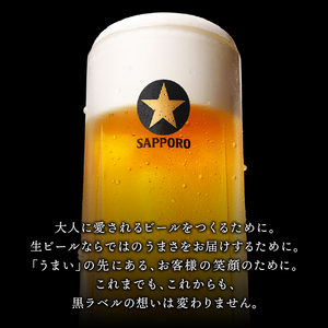 T0006-2008　【定期便8回】黒ラベルビール 500ml×1箱(24缶)【定期便】