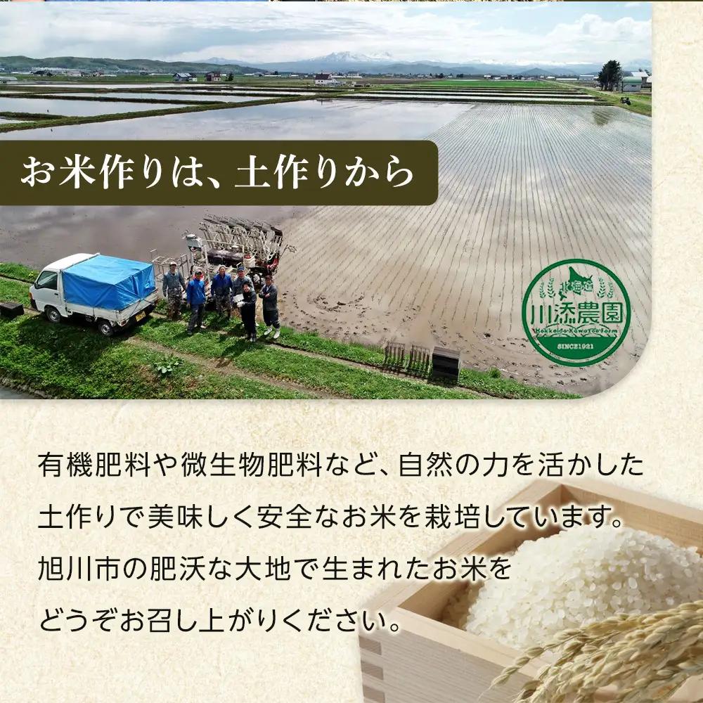 令和7年産　おぼろづき 無洗米 真空パック 5kg×2袋 10kg【 白米 精米 ご飯 ごはん 米 5kg お米 旭川市 北海道 】_06548