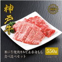 【ふるさと納税】【神戸牛】焼肉 カルビ&赤身もも 食べ比べセット550g_ 焼肉 お肉 肉 牛肉 神戸ビーフ 但馬牛 黒毛和牛 ギフト プレゼント 贈り物 【配送不可地域：離島】【1313136】