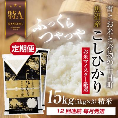 ふるさと納税 十日町市 【毎月定期便】魚沼産 コシヒカリ 15kg 精米 (お米の美味しい炊き方ガイド付)全12回