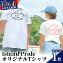 【ふるさと納税】EDISG Tシャツ Island Pride【カラー:グレー】【サイズ:Sサイズ】KB-75-1