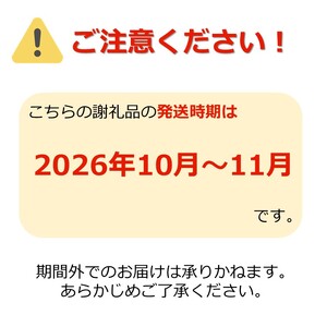 【2026年発送】山形のりんご（秋陽）約5kg_H077(R8)