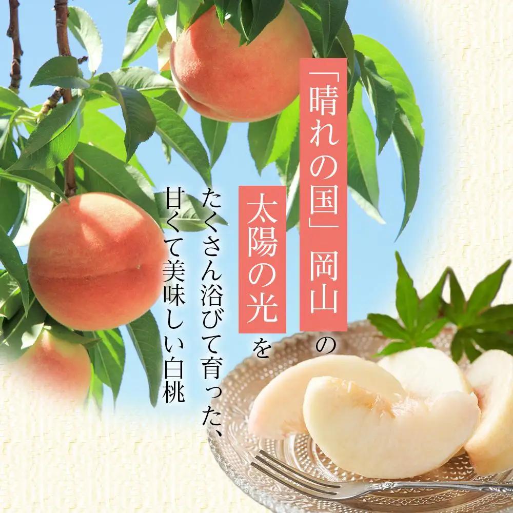 2026年 先行受付 岡山県産 白 桃  ロイヤル 約1kg 4～6玉 桃