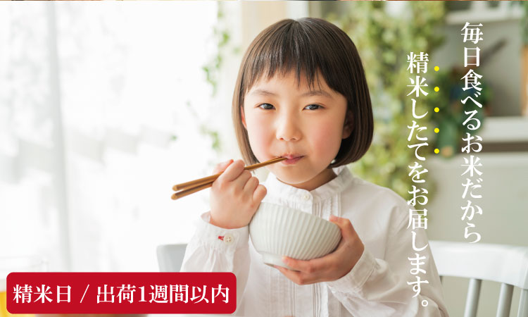 【4月配送】佐賀ブランド米「さがびより」５ｋｇ（5ｋｇ×1）潮風F