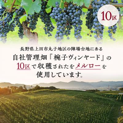 ふるさと納税 上田市 椀子メルロー ブロック10 750ml限定品 シャトー・メルシャン メルロー 赤[54040424] |  | 02