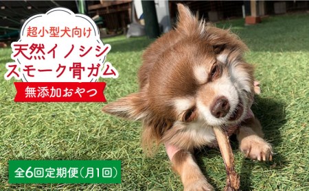 6回定期便　超小型犬向け☆天然いのししのスモーク骨ガム100g わんこin食堂/吉野ヶ里町[FCG063]