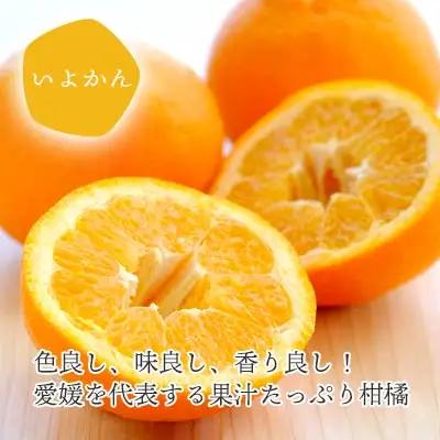 【先行受付】愛媛の柑橘詰め合わせ ポンカン2.5kg・いよかん2kg食べ比べセット【訳あり】【D25-96】【1356827】 YWTAP047