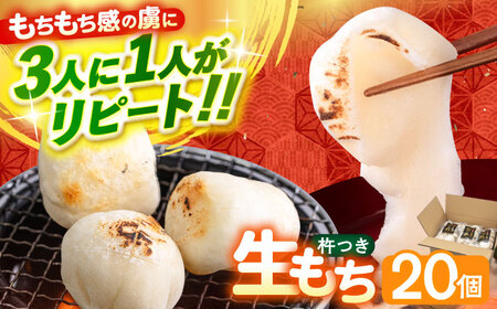 餅 杵つき 生餅 20個  [ABAB007] 