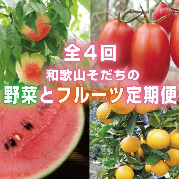 【ふるさと納税】 【4か月定期便】和歌山産そだちの野菜とフルーツ定期便♪（八朔・トマト・すいか・桃）
