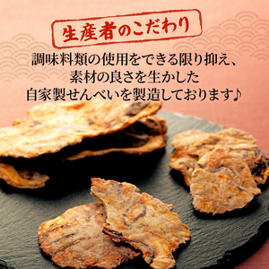 いか せんべい 5袋 訳あり 唐揚げせんべい