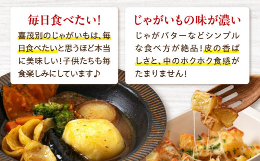 新じゃがいも キタアカリ 20Kg ジャガイモ じゃがいも 野菜 季節の野菜 詰め合わせ 北海道 産地直送 定期便