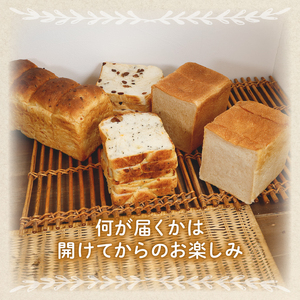食パン詰合せセット(5種) / パン詰め合わせ プレゼント 冷凍パン 綾部市 / 5miche［BSAA002］