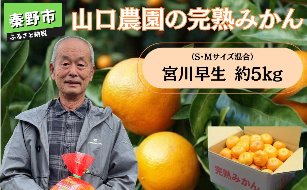 
                  【数量限定】山口農園の完熟みかん宮川早生（Ｓ，Ｍサイズ混合）約5kg（蜜柑 甘い 完熟 家庭用 みかん 栄養 おやつ デザート 水分 果物 フルーツ 特産 産地 農園 直送 低農薬 特別栽培法 おいしい）005-34-3
                