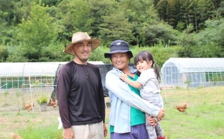 放し飼い養鶏 たまご 6個入り 3パック 卵 卵