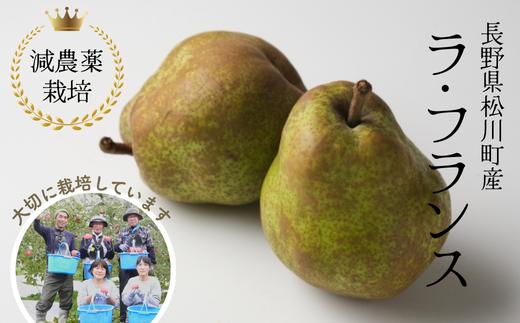 YN10-26A 【先行予約】洋梨 ラ・フランス 約3kg 減農薬栽培 秀品／2026年10月中旬頃から配送予定 // 洋ナシ 洋なし 洋梨 ラフランス 減農薬栽培 農家直送 農家支援 長野県 松川町産