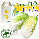 【ふるさと納税】北海道 新しのつ産 白菜 1玉 約3kg ハクサイ 農作物 野菜 葉物野菜 葉物 旬 国産 生食 甘い ヘルシー 漬物 鍋 鍋料理 煮込み料理 産地直送 お取り寄せ 冷蔵 送料無料　【 日本産 鍋物 炒め物 漬物 サラダ 北海道産 】　お届け：9月中旬から10月31日まで