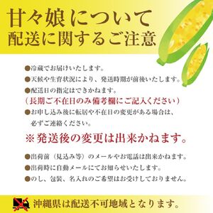 極甘フルーツとうもろこし「甘々娘（かんかんむすめ）」特Ａ品・激選贈答用 10～12本入り 【2026年6月中旬から発送】 アグリ甲斐 [5839-8580]