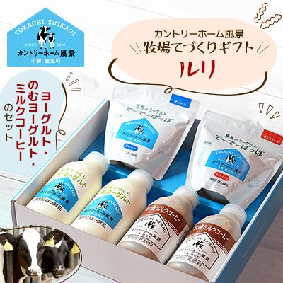ふるさと納税 鹿追町 【カントリーホーム風景】牧場てづくりギフト「ルリ」 ヨーグルト ミルクコーヒー　4種類　合計6点