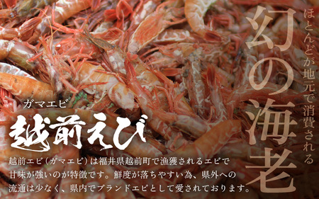 殻むき不要！幻と呼ばれる「越前えび」（むき身）2kg（200g × 10袋）背わた処理済 【天然 日本海 越前町産 鮮度抜群 国産 ブランド エビ がまエビ ガサエビ ガラエビ むきエビ 小分け えび